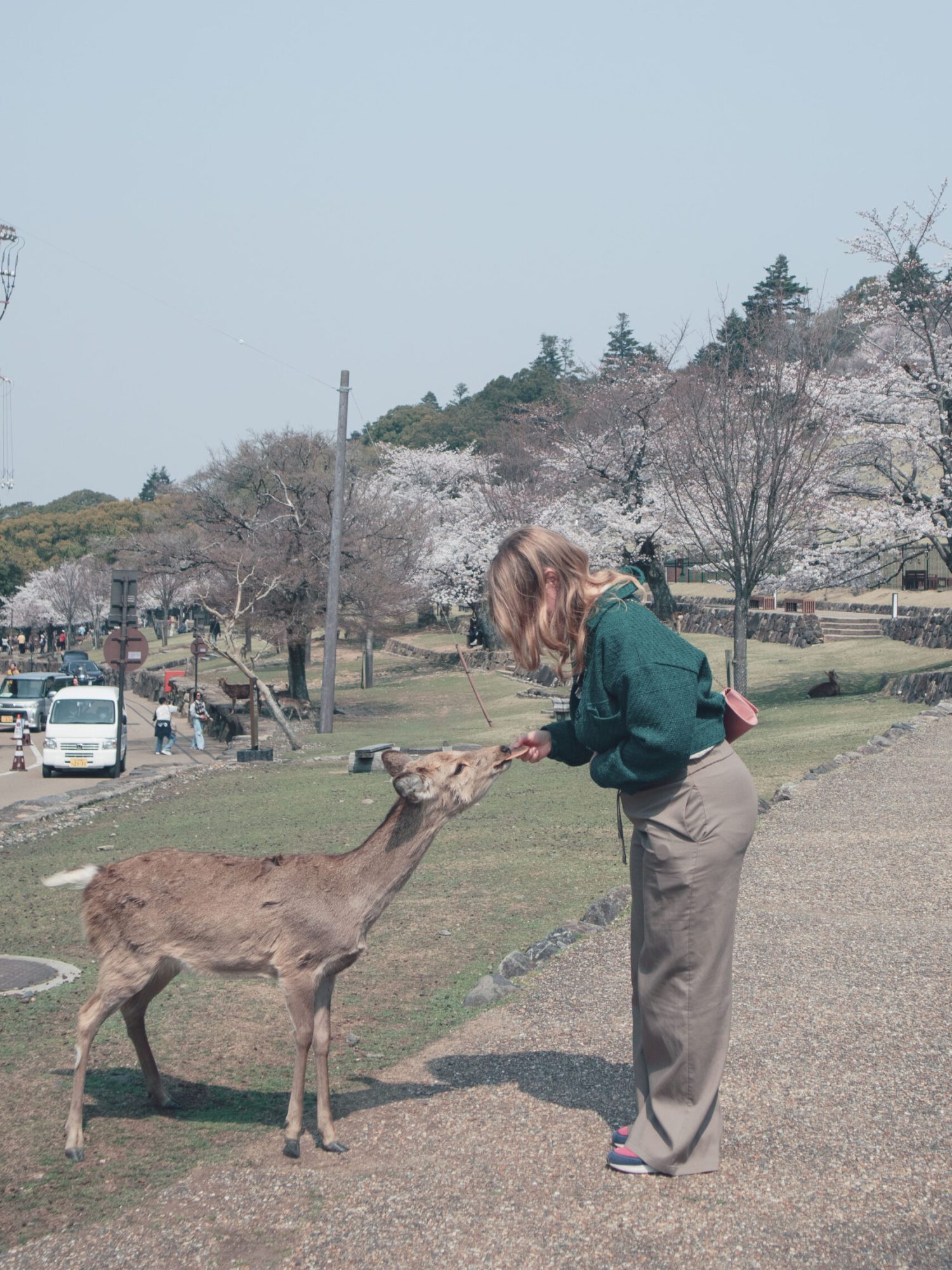 japan_109